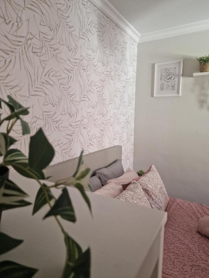 Picasso Apartment Малага Екстериор снимка